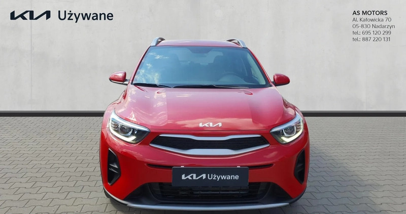 Kia Stonic cena 79900 przebieg: 10000, rok produkcji 2023 z Płońsk małe 211